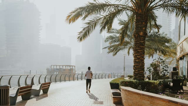 Getting Fit with Tech: Continuously Optimizing My Health